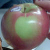 Apple-731191