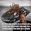 Spider-e0e9cc