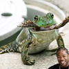 Yo-frog-abba4d