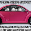 5881 - Yo Dawg Pics