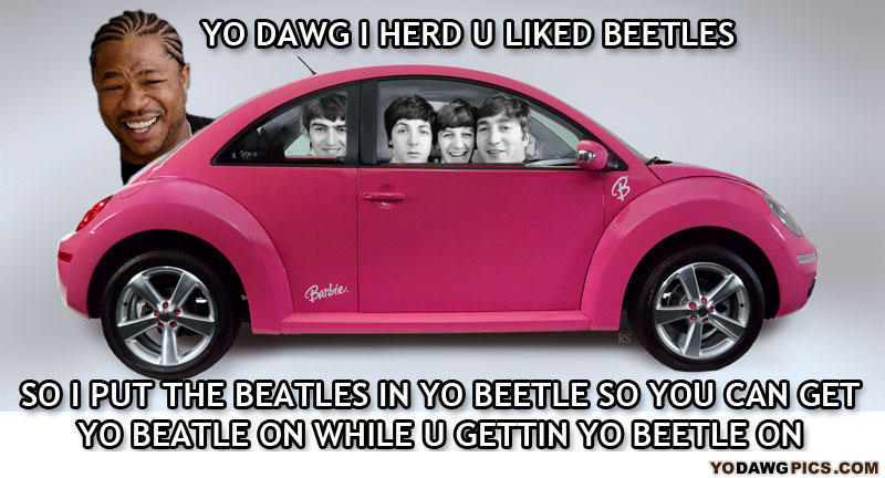 Yo-dawg-i-herd-u-like-beetles-2bc516