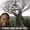 5903 - Yo Dawg Pics