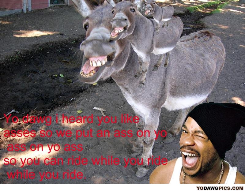 Donkey20oatie20image