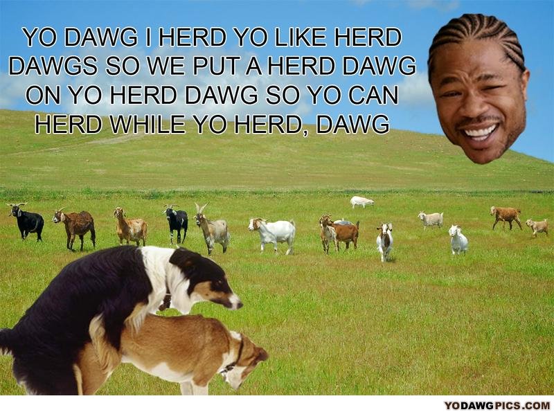 Herd_dawg