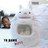 Yo_dawg_kitty