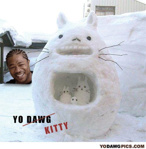 Yo_dawg_kitty