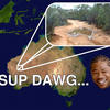 28429 - Yo Dawg Pics