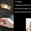 Yo_dawg_mouse2