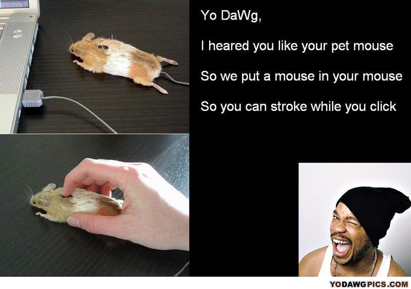 Yo_dawg_mouse2