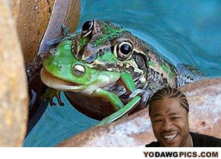 Yodawg