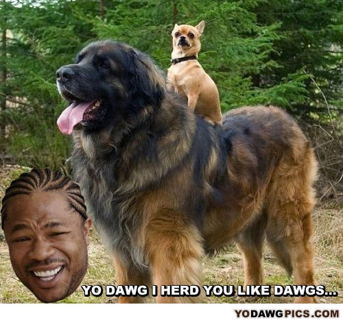 Yo_dog