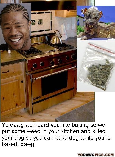 Bake_dog