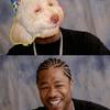 16294 - Yo Dawg Pics