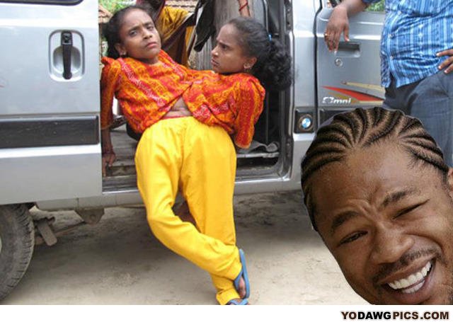 Yodawg