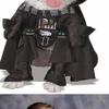 36017 - Unmoderated Pictures of Xzibit Yo Dawg Humor - 1