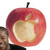 5922 - Yo Dawg Pics