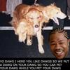 12595 - Yo Dawg Pics