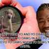 5862 - Yo Dawg Pics