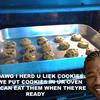 91068 - Yo Dawg Pics