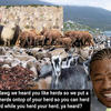 5937 - Yo Dawg Pics