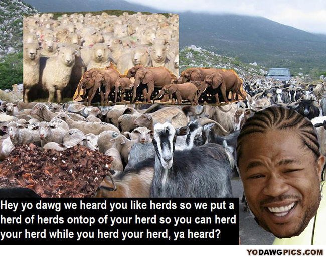 Herds