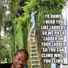 15945 - Yo Dawg Pics