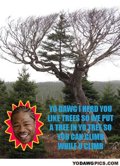 Trees
