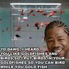5890 - Yo Dawg Pics