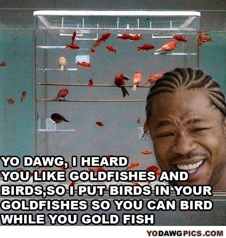 Goldfish