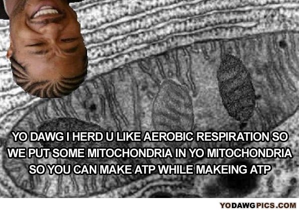 Atp