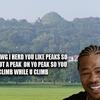 8256 - Yo Dawg Pics