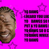 8573 - Unmoderated Pictures of Xzibit Yo Dawg Humor - 1
