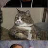 9187 - Unmoderated Pictures of Xzibit Yo Dawg Humor - 4