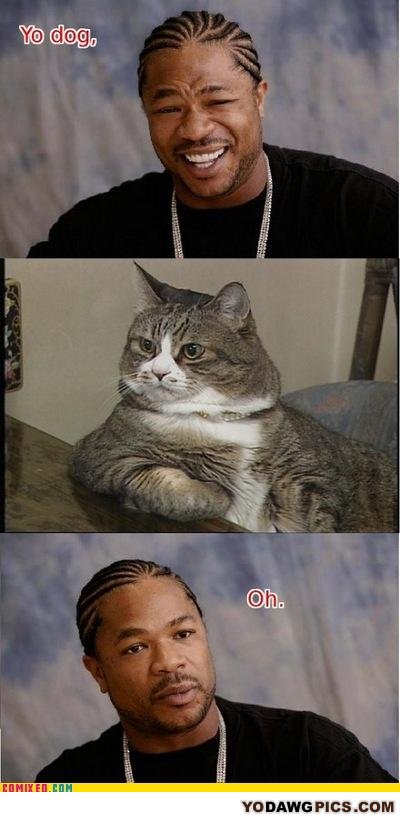 Yodawgcat